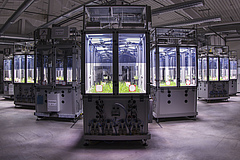 In den Kammern des iDiv-Ecotrons werden Versuche unter streng kontrollierten Bedingungen durchgef&uuml;hrt. (Bild: Tilo Arnhold)