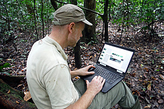 Senior author of the study Dr Hjalmar K&uuml;hl during field research in the Ta&iuml; National Park, Republic of C&ocirc;te d'Ivoire. (Picture: Hjalmar Kühl, iDiv & MPI-EVA, Germany)
