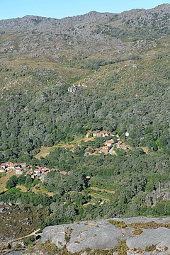Das Untersuchungsgebiet, der portugiesische Peneda Gerês Nationalpark, besteht aus einem Mosaik verschiedener Lebensraumtypen wie Wald, Buschland und Wiesen (Bild: Herique Pereira).