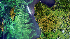 Sommerliche Phytoplanktonbl&uuml;te in der Ostsee, aufgenommen von Envisat's MERIS am 13. Juli 2005. (Bild: ESA, CC BY-SA 3.0 IGO)