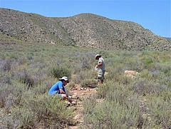Researchers taking soil samples in Spain. Drylands are among the ecosystems with the highest proportions of soil-borne plant pathogens today. (Picture: Beatriz Gozalo)