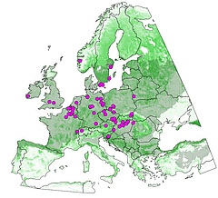 Die Forscher analysierten die Daten von insgesamt 68 Standorten in ganz Europa, darunter die Echinger Lohe und der Untere Spreewald in Deutschland. (Bild: Nature Ecology & Evolution)