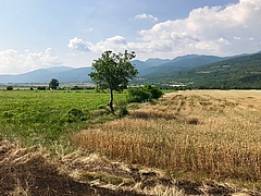 Ackerland in der Region Septemvri, Pazardzhik, Bulgarien. (Bild: Sebastian Lakner)