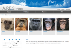 The website of the data base is hosted at the MPI EVA (image: IUCN SSC A.P.E.S.).