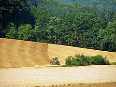 Farmers shape appearance and diversity of the landscapes in Europe. (Picture: Sebastian Lakner)