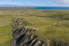 Die arktische Tundra wird immer gr&uuml;ner (hier: Qikiqtaruk/Herschel Island in der Kanadischen Arktis).<br /> &nbsp; (Bild: Jeffrey Kerby / National Geographic Society)