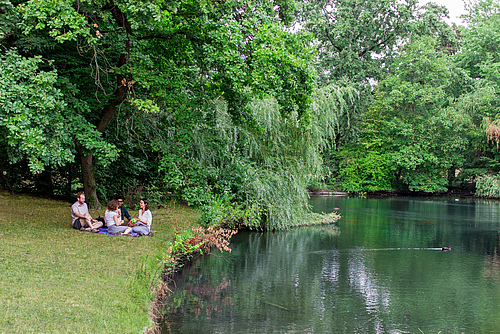Urban parks and their biological diversity contribute to our health and wellbeing, e.g. by reducing our stress level. (Picture: Foto: Stefan Bernhardt)