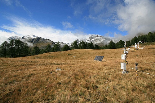 The experimental site in Torgnon (Italy), a grassland located at about 2100 m in the Western Italian Alps, and belonging to the Integrated Carbon Observation System (ICOS) and FLUXNET network.&nbsp; (Picture: Marta Galvagno)