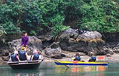 Tourists watching two critically endangered Cat Ba Langurs (Trachypithecus poliocephalus) in Cat Ba National Park, Vietnam. The scientific evidence for the effectiveness of running tourist projects at primate sites yielded inconclusive results and more studies will be needed to evaluate this conservation intervention. (Picture: Pham Tai Minh)