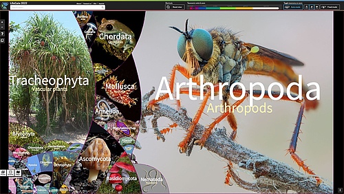 The home screen of LifeGate shows the full diversity of life at a glance. Users can zoom in at any given area until they reach the species level.&nbsp; (Picture: LifeGate by Martin Freiberg)