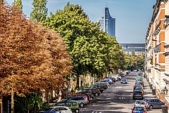 High density of street trees in cities (like here in Leipzig City centre) may help to improve mental health as well as local climate, air quality and species richness. (Picture: Philipp Kirschner)