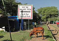 Einer der untersuchten Parks war der Nech-Sar-Nationalpark, &Auml;thiopien. In der Umgebung des Parks leben Menschen und Nutztiere, was zu Konflikten zwischen Mensch und Tier innerhalb und au&szlig;erhalb des Nationalparks f&uuml;hren kann. (Bild: Foto: Wikimedia Commons, https://commons.wikimedia.org/wiki/File:Sign_for_Nechisar_National_Park.jpg)