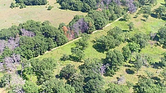 Grassland at Cedar Creek, Minnesota (US) &ndash; one of the oldest fields in the upper left, and remnant savanna in the lower right. (Picture: Forest Isbel)