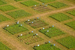 Experimental meadow plots with heating lamps (photo: Jacob Miller).