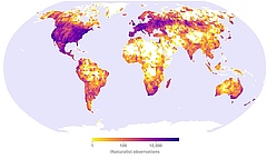 Datenpunkte wurden mit iNaturalist auf der ganzen Welt erfasst. Die Dichte variiert, wobei in einigen Regionen der Welt, insbesondere in Teilen Nordamerikas und Europas, mehr Eintr&auml;ge gesammelt wurden. (Bild: Grafik in veränderter Form der Publikation entnommen.)