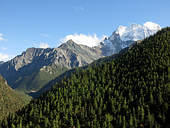When standing directly in the forest around Yading (Nyid&ecirc;n) village, China one may not perceive the number of species in a close proximity as exceptionally high. However, the nature of the forest changes rapidly as one moves uphill, downhill, or into another valley. (Picture: Adrien Favre/Senckenberg)