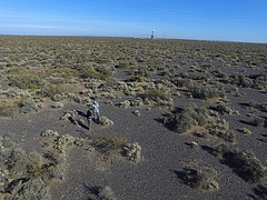 Wissenschaftler untersuchen ein Trockengebiet in Patagonien (Argentinien) (Bild: Juan José Gaitán, INTA (Argentina))