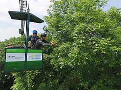 Scientists use the Leipzig Canopy Crane to investigate the hidden habitat in the treetops (Picture: Steffen Schellhorn)