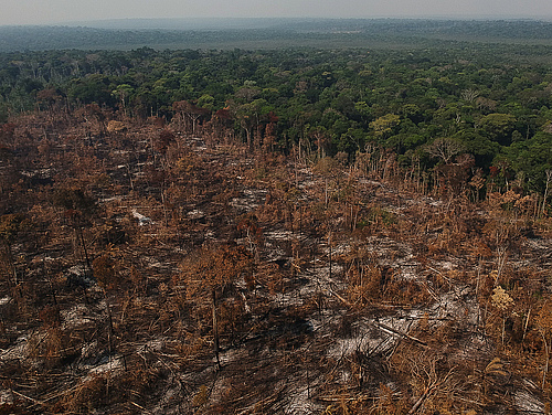 Tropical deforestation causes widespread loss of biodiversity and carbon stocks. (Picture: Amazônia Real from Manaus AM, Brasil, CC BY 2.0, via Wikimedia Commons)