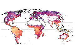 Die erste weltweite Karte der Baumarten-Vielfalt, erstellt mithilfe des neuen Modells. Die Karte illustriert die Anzahl der Baumarten, die auf Fl&auml;chen von jeweils einem Hektar zu erwarten sind. Die gr&ouml;&szlig;te Artenvielfalt (orange bis gelb) findet sich in den hei&szlig;en, feuchten Tropen. Bei den verbleibenden wei&szlig;en Fl&auml;chen handelt es sich um unbewaldete Gebiete. (Bild: Petr Keil und Jonathan Chase)