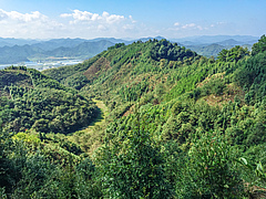 Die Untersuchungsfl&auml;chen des Experiments BEF-China liegen in einem Berggebiet 400 Kilometer westlich von Shanghai. (Bild: UZH)