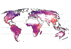 When tree diversity is observed on the scale of larger regions, the picture changes. A particularly high number of species (orange to yellow) can now be observed in mountainous areas like southern China, Mexico, or in the Ethiopian highlands, which all have high beta diversity. (Picture: Petr Keil and Jonathan Chase)