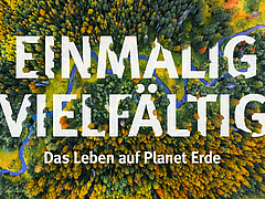 Biologische Vielfalt ist Thema des diesj&auml;hrigen Unibundforums. (Bild: Stefan Bernhardt, iDiv)