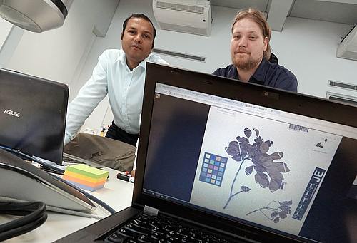 Jitendra Gaikwad and Martin Hochmuth from the iDiv Biodiversity Informatics Unit (BDU) work on a new tool for managing multimedia data for science (photo: Jan-Peter Kasper/FSU).
