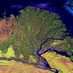 Der drittgr&ouml;&szlig;te Fluss Asiens, die sibirische Lena, ist 4.294 Kilometer lang und hat ein Einzugsgebiet von 2.490.000 Quadratkilometern. (Bild: Pixabay)