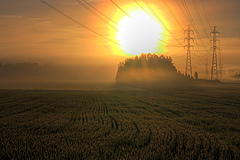 Die europ&auml;ische Landwirtschaft emittiert steigende Mengen von Treibhausgasen. In der Gemeinsamen Agrarpolitik der EU fehlen laut den Forschern hinreichende Ma&szlig;nahmen f&uuml;r einen effektiven Klimaschutz. (Bild: Astronnilath (CC BY 2.0))