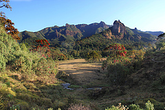 Another example of an area with an exceptionally high variety of forest types and thus, high regional diversity are the Mountains in Harenna Forest, Ethiopia. (Picture: Laica ac from UK, CC BY-SA 0.2)