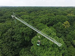 With the help of the Canopy Crane, iDiv researchers study the effects of drought and other factors on the trees. (Picture: Steffen Schellhorn)