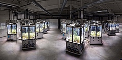The research team used the iDiv Ecotron, where identical climatic situations can be simulated in artificial ecosystems and observed with cameras. (Picture: iDiv)