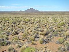 Dryland ecosystem in Argentinian Patagonia (Picture: Juan José Gaitán, INTA (Argentina))