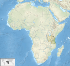 Die Forscherinnen und Forscher analysierten die DNA von drei Clans von T&uuml;pfelhy&auml;nen <em>(Crocuta crocuta)</em> im Serengeti-Nationalpark in Tansania. (Bild: Wikimedia Commons - Tubs)