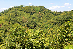 For the BEF-China experiment, about ten years ago, forests were planted on more than 500 plots varying in the number of tree species. The different plots are easily distinguishable today.<em></em><em></em> (Picture: Helge Bruelheide.)