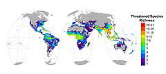 Geografische Verbreitung bedrohter Reptilien. Reptilienarten gelten als bedroht, wenn sie in der Roten Liste der bedrohten Arten der IUCN&trade; als gef&auml;hrdet, vom Aussterben bedroht oder als stark gef&auml;hrdet eingestuft werden. Der Artenreichtum bezieht sich auf die Anzahl der verschiedenen Arten, die in einem Gebiet vorkommen. W&auml;rmere (r&ouml;tlichere) Farben stehen f&uuml;r eine gr&ouml;&szlig;ere Anzahl an bedrohten Reptilienarten.&nbsp; (Bild: Cox, N. and Young, B. E., et al. Global reptile assessment shows commonality of tetrapod conservation needs. Nature (2022))