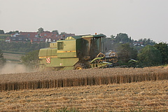 Harvester at work (Photo: Silvio Bürger)