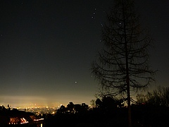 In einer hell erleuchteten Stadt wie Wien ist es aufgrund der Lichtverschmutzung oft schwierig, Sterne am Himmel zu sehen.&nbsp; (Bild: Adolf Riess/Pixelio)