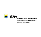 Englisches iDiv-Logo lang (300 dpi, RGB)