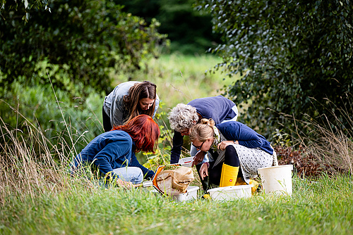 Citizen scientists throughout Germany analysed the ecological status of small waterways for the FLOW project. Photo: J. Farys