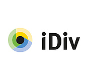 iDiv logo short (300 dpi, RGB)
