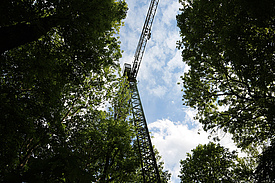 Canopy Crane (Photo: Ronny Richter)