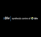 sDiv logo for dark backgrounds (PNG, 72 dpi, RGB)