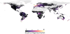 Figure 2: The number of earthworm species across the world, created using our model. In total, 180 researchers provided data from just over 9,000 surveys. This survey data was combined with data about the environment, such as pH, so that we could predict the number of earthworm species across all areas of the world—even where no surveys have been done. Typically, the number of earthworm species in any one place varied between 1 (areas in dark purple) and 4 (areas in bright yellow), but areas in the temperate region, such as Europe, had the highest number of earthworm species (shown in the yellow shades).