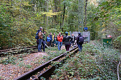 Prof. Christian Wirth erläuterte die Forschungsarbeiten am Leipziger Auwaldkran. Foto: Doris Wolst/UFZ