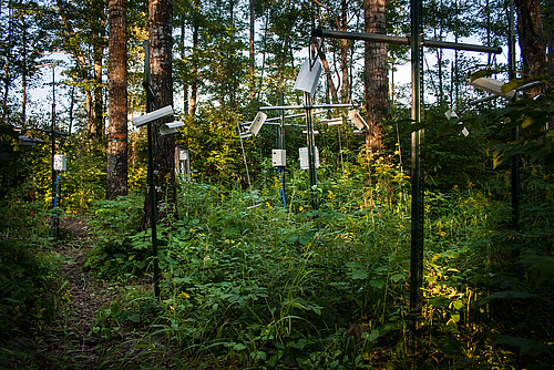 Um die Wald-Versuchsflächen in Minnesota, U.S.A. zu heizen verwendenten die Wissenschaftler Heizelemente. Im Boden wurden zudem Heizkabel verlegt (Foto: Benjamin Schwarz).