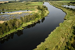 Ein prominentes Beispiel für ein erfolgreiches Rewilding-Projekt in Deutschland ist das Oder-Delta. Hier zu sehen der Anklammer Stadtbruch (Bild: Zolvin Zankl / Rewilding Europe).