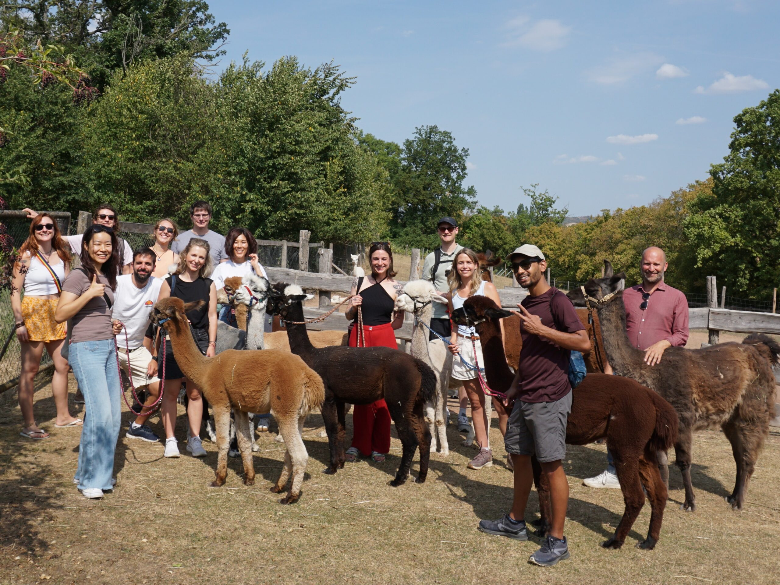 idiv-Group of the Theory in Biodiversity Science research group