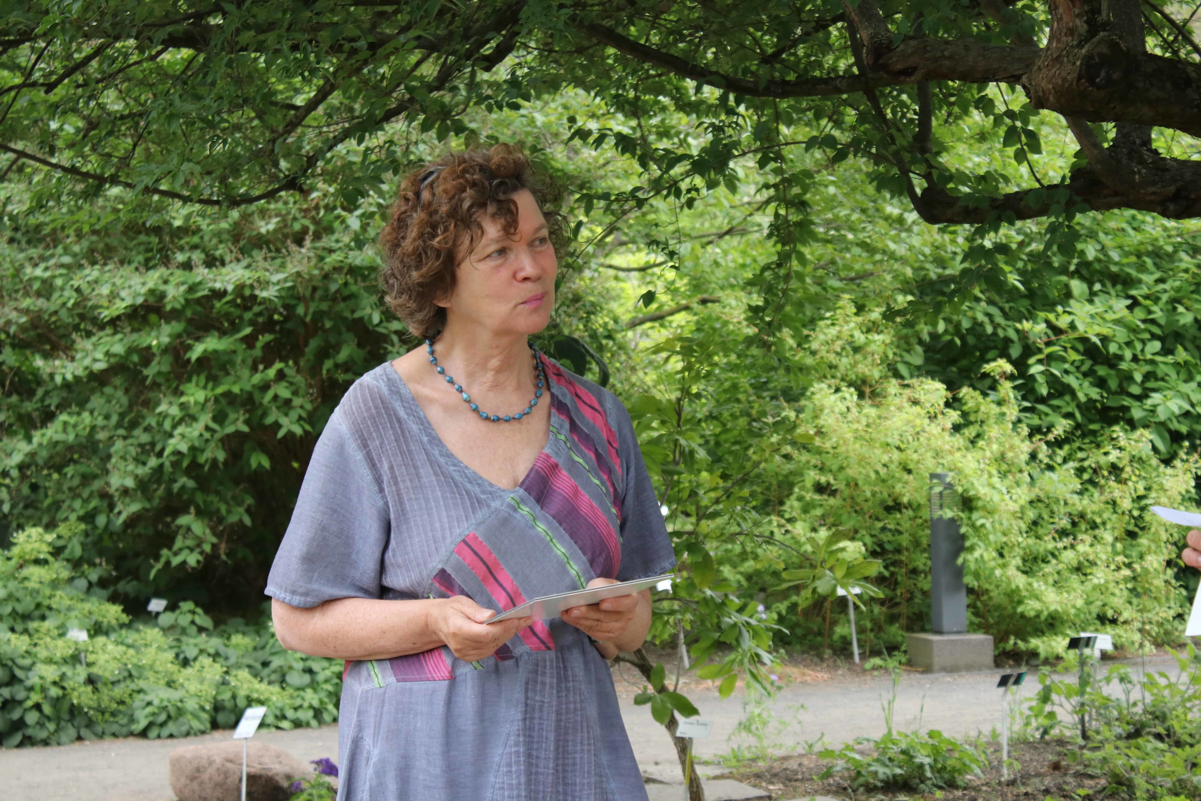 idiv-